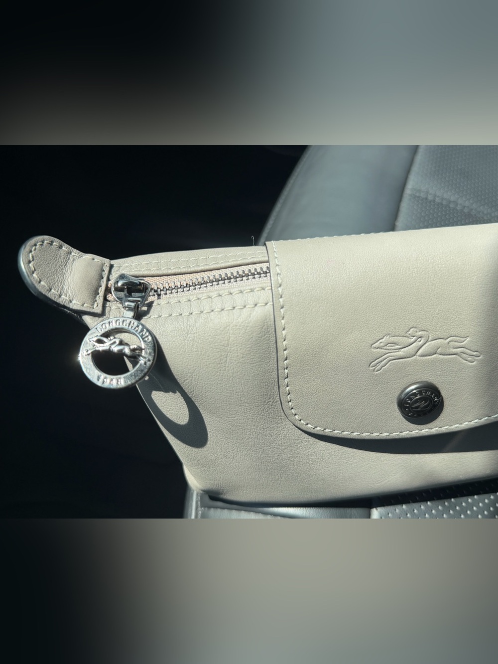 Longchamp Pouch - Picture 2 of 5